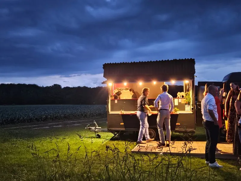 Asian Taste - Aziatische catering en foodtruck